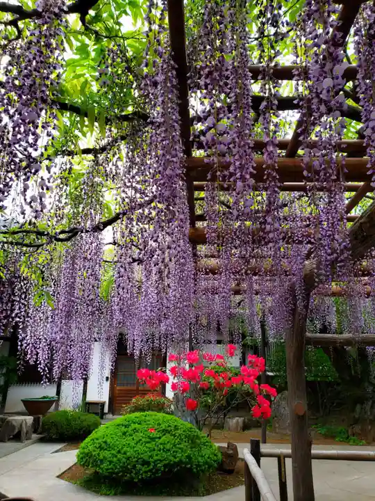 愛染院(東京都)