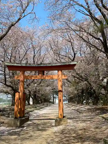 東蕗田天満社の鳥居