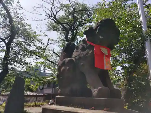 市谷亀岡八幡宮の狛犬