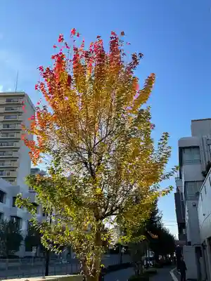 諏訪神社(東京都)