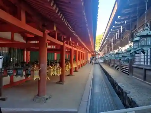 春日大社(奈良県)