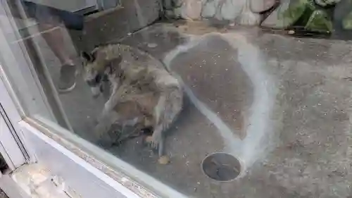 羆神社(北海道)