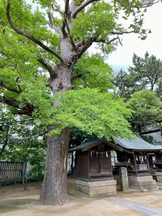 意富比神社(千葉県)