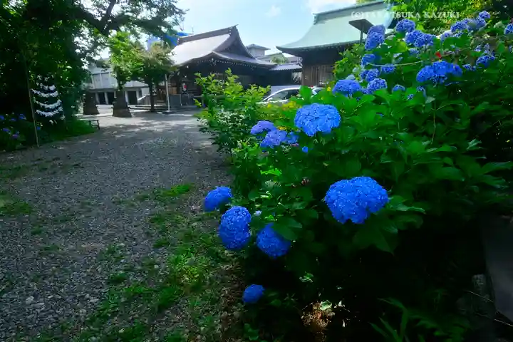本郷氷川神社(東京都)