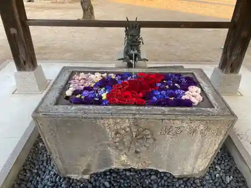 総願寺の手水舎