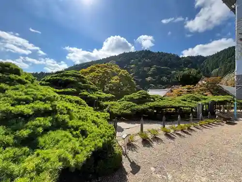 善峯寺(京都府)