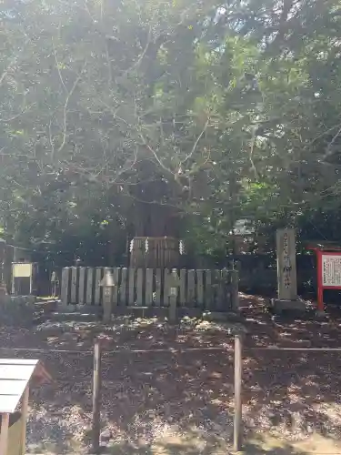 熊野速玉大社(和歌山県)