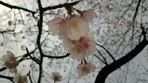 靖國神社の自然