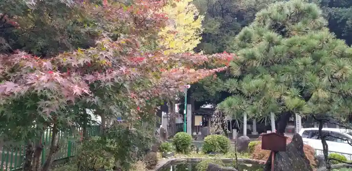 浅間神社(千葉県)