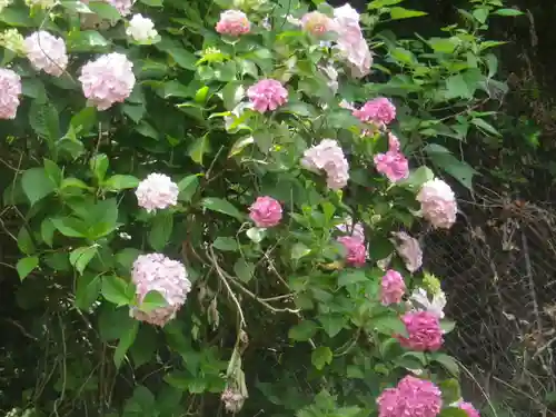 御霊神社の自然