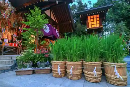 東京大神宮のその他建物