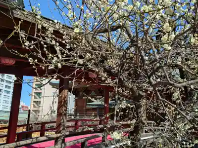 湯島天満宮(東京都)