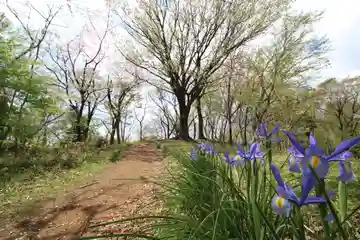 浅間神社(神奈川県)