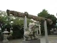 奥戸天祖神社の狛犬