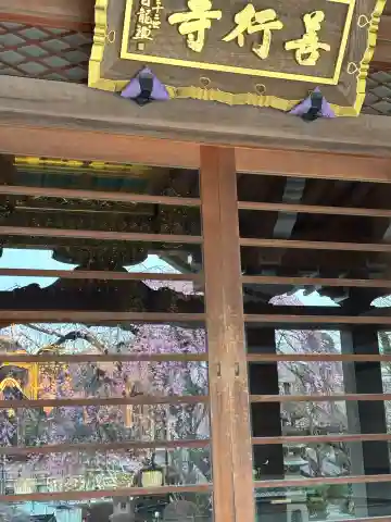善行寺の{uncategorized: "未分類", other: "その他", undefined: "問題あり", building: "その他建物", grave: "お墓", sacred_gate: "鳥居", guardian: "狛犬", statue: "像", buddha: "仏像", history: "歴史", nature: "自然", garden: "庭園", animal: "動物", pagoda: "塔", temizu: "手水舎", mountain_gate: "山門・神門", sanctuary: "本殿・本堂", subordinate: "末社・摂社", art: "芸術", scenery: "景色", jizo: "地蔵", ema: "絵馬", goshuin: "御朱印", omikuji: "おみくじ", items: "授与品その他", amulet: "お守り", goshuincho: "御朱印帳", eats: "食事", festival: "お祭り", votive_dance: "神楽", shichigosan: "七五三参", wedding: "結婚式", experience: "体験その他", initially: "初詣", around: "周辺", anti_infection: "感染症対策"}
