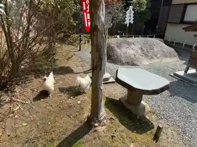 高屋敷稲荷神社の{uncategorized: "未分類", other: "その他", undefined: "問題あり", building: "その他建物", grave: "お墓", sacred_gate: "鳥居", guardian: "狛犬", statue: "像", buddha: "仏像", history: "歴史", nature: "自然", garden: "庭園", animal: "動物", pagoda: "塔", temizu: "手水舎", mountain_gate: "山門・神門", sanctuary: "本殿・本堂", subordinate: "末社・摂社", art: "芸術", scenery: "景色", jizo: "地蔵", ema: "絵馬", goshuin: "御朱印", omikuji: "おみくじ", items: "授与品その他", amulet: "お守り", goshuincho: "御朱印帳", eats: "食事", festival: "お祭り", votive_dance: "神楽", shichigosan: "七五三参", wedding: "結婚式", experience: "体験その他", initially: "初詣", around: "周辺", anti_infection: "感染症対策"}