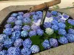 荘内神社の手水