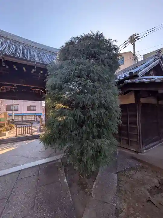 経王寺(東京都)
