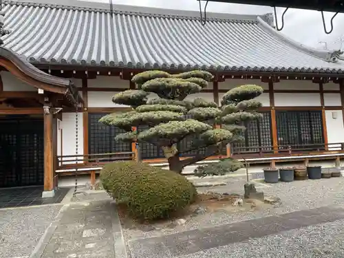長恩寺(京都府)