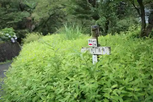 音楽寺の自然