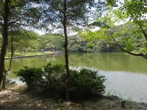 桜ヶ池池宮神社の庭園