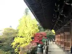 圓教寺の建物その他