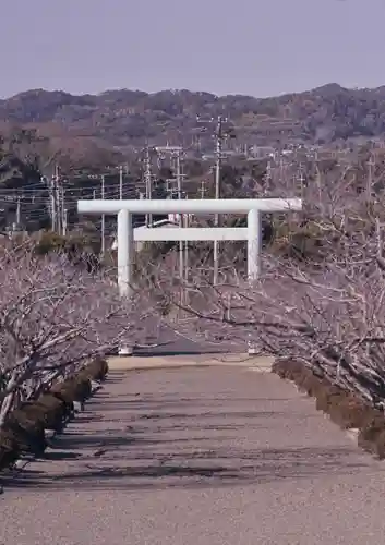 安房神社の鳥居