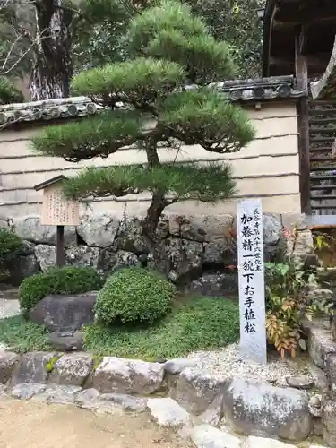 法起院の庭園
