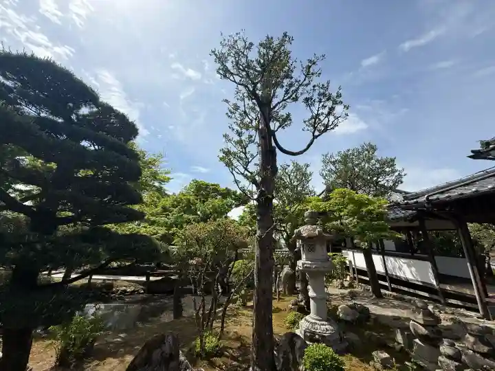 新薬師寺の{uncategorized: "未分類", other: "その他", undefined: "問題あり", building: "その他建物", grave: "お墓", sacred_gate: "鳥居", guardian: "狛犬", statue: "像", buddha: "仏像", history: "歴史", nature: "自然", garden: "庭園", animal: "動物", pagoda: "塔", temizu: "手水舎", mountain_gate: "山門・神門", sanctuary: "本殿・本堂", subordinate: "末社・摂社", art: "芸術", scenery: "景色", jizo: "地蔵", ema: "絵馬", goshuin: "御朱印", omikuji: "おみくじ", items: "授与品その他", amulet: "お守り", goshuincho: "御朱印帳", eats: "食事", festival: "お祭り", votive_dance: "神楽", shichigosan: "七五三参", wedding: "結婚式", experience: "体験その他", initially: "初詣", around: "周辺", anti_infection: "感染症対策"}