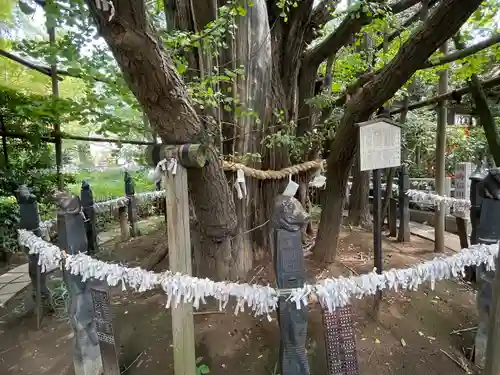 稲毛神社(神奈川県)