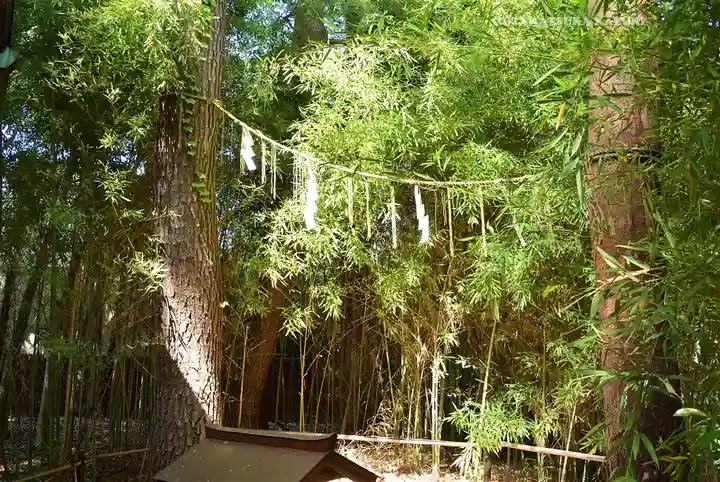 自由が丘熊野神社(東京都)