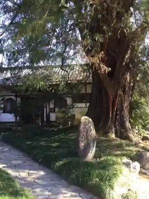 崇禅寺のその他建物