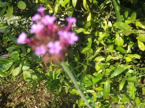 大巧寺(神奈川県)