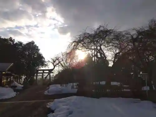 足羽神社(福井県)