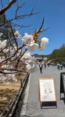 仁和寺(京都府)