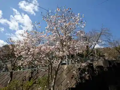 観音寺のその他建物