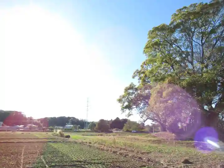 神明神社(千葉県)