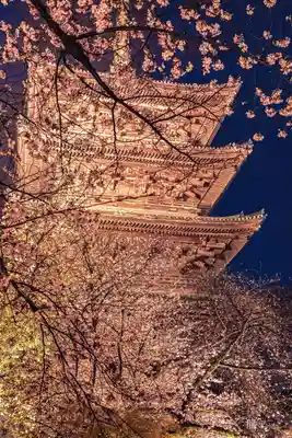 東寺（教王護国寺）(京都府)