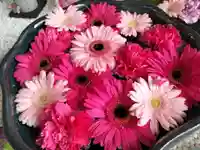 瑞玄寺の手水舎