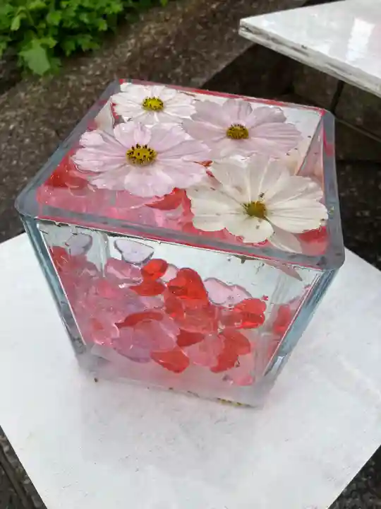 般若寺 ❁コスモス寺❁(奈良県)