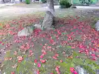 八幡神社(福井県)