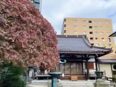 幸福寺(神奈川県)