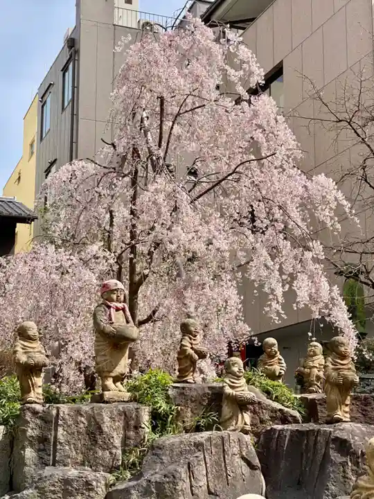 頂法寺(六角堂)の自然