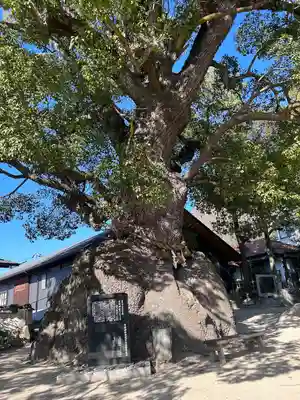 糸碕神社(広島県)