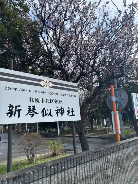 新琴似神社の自然