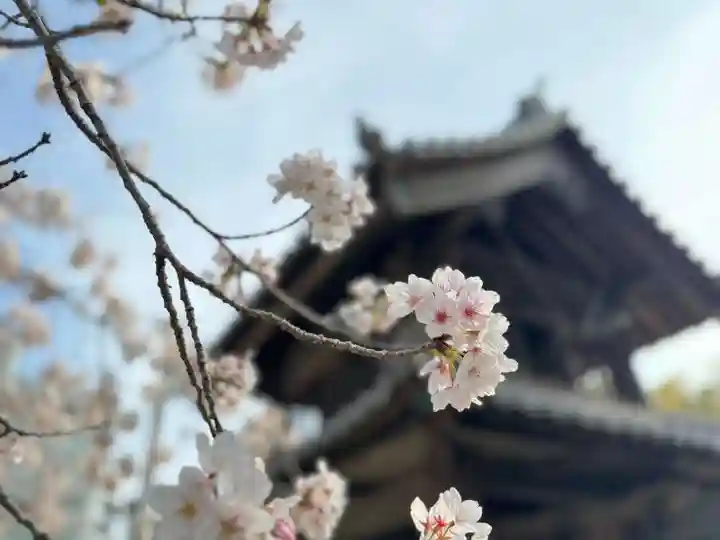 伊勢の国 四天王寺(三重県)