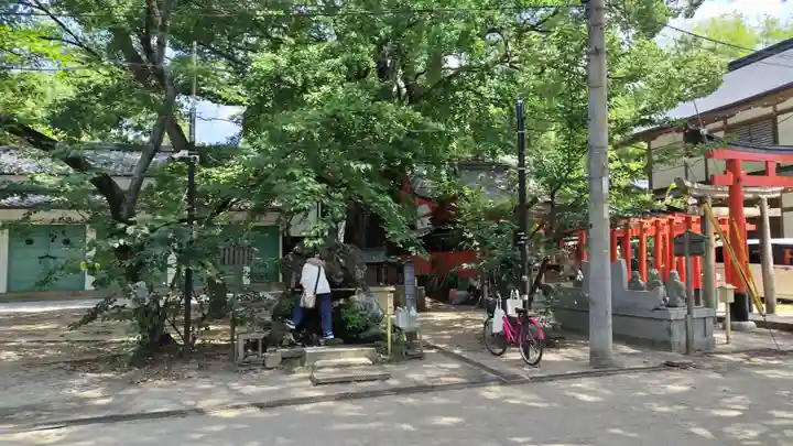 藤森神社(京都府)