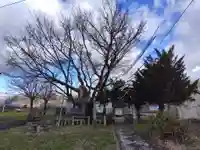 御田神社の自然