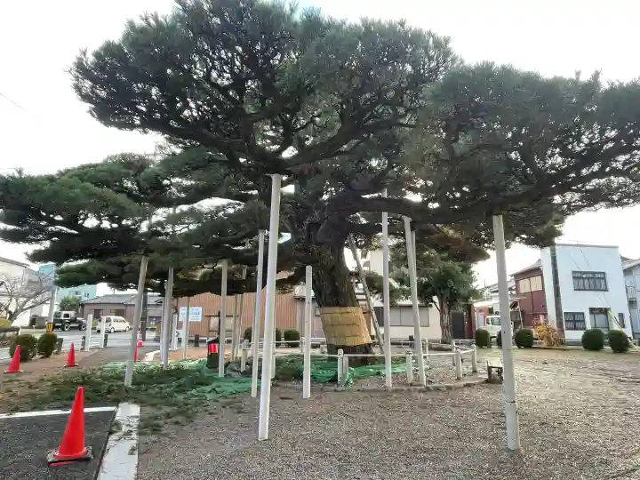 日保見山八幡宮の{uncategorized: "未分類", other: "その他", undefined: "問題あり", building: "その他建物", grave: "お墓", sacred_gate: "鳥居", guardian: "狛犬", statue: "像", buddha: "仏像", history: "歴史", nature: "自然", garden: "庭園", animal: "動物", pagoda: "塔", temizu: "手水舎", mountain_gate: "山門・神門", sanctuary: "本殿・本堂", subordinate: "末社・摂社", art: "芸術", scenery: "景色", jizo: "地蔵", ema: "絵馬", goshuin: "御朱印", omikuji: "おみくじ", items: "授与品その他", amulet: "お守り", goshuincho: "御朱印帳", eats: "食事", festival: "お祭り", votive_dance: "神楽", shichigosan: "七五三参", wedding: "結婚式", experience: "体験その他", initially: "初詣", around: "周辺", anti_infection: "感染症対策"}