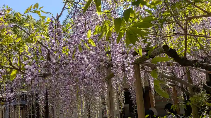 歌泉堂(春日大社神苑萬葉植物園内鎮座)(奈良県)